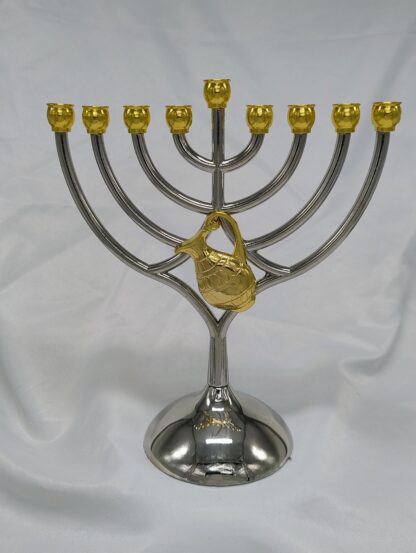Zilverkleurige chanoekia
