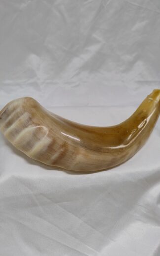 Kosjere Ramshoorn met Kroon