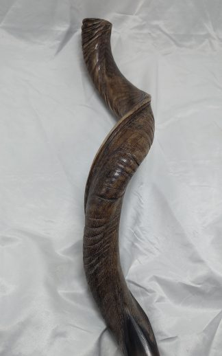 Jemenitische Sjofar Groot Naturel