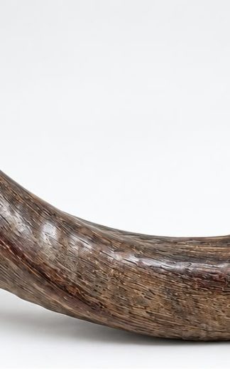 Jemenitische Sjofar Groot Naturel
