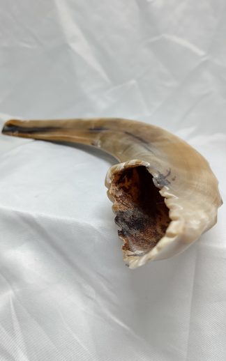 Kosjere Ramshoorn met Kroon